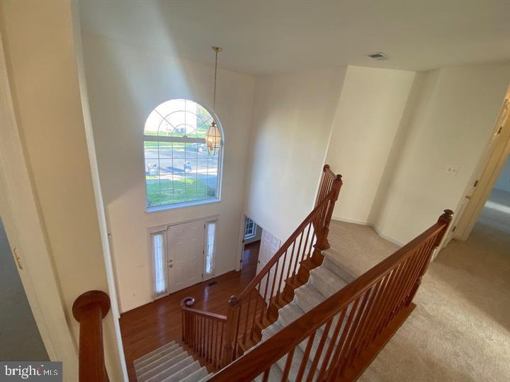 SARATOGA HUNT - Residential Lease