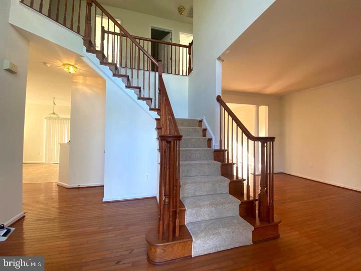 SARATOGA HUNT - Residential Lease