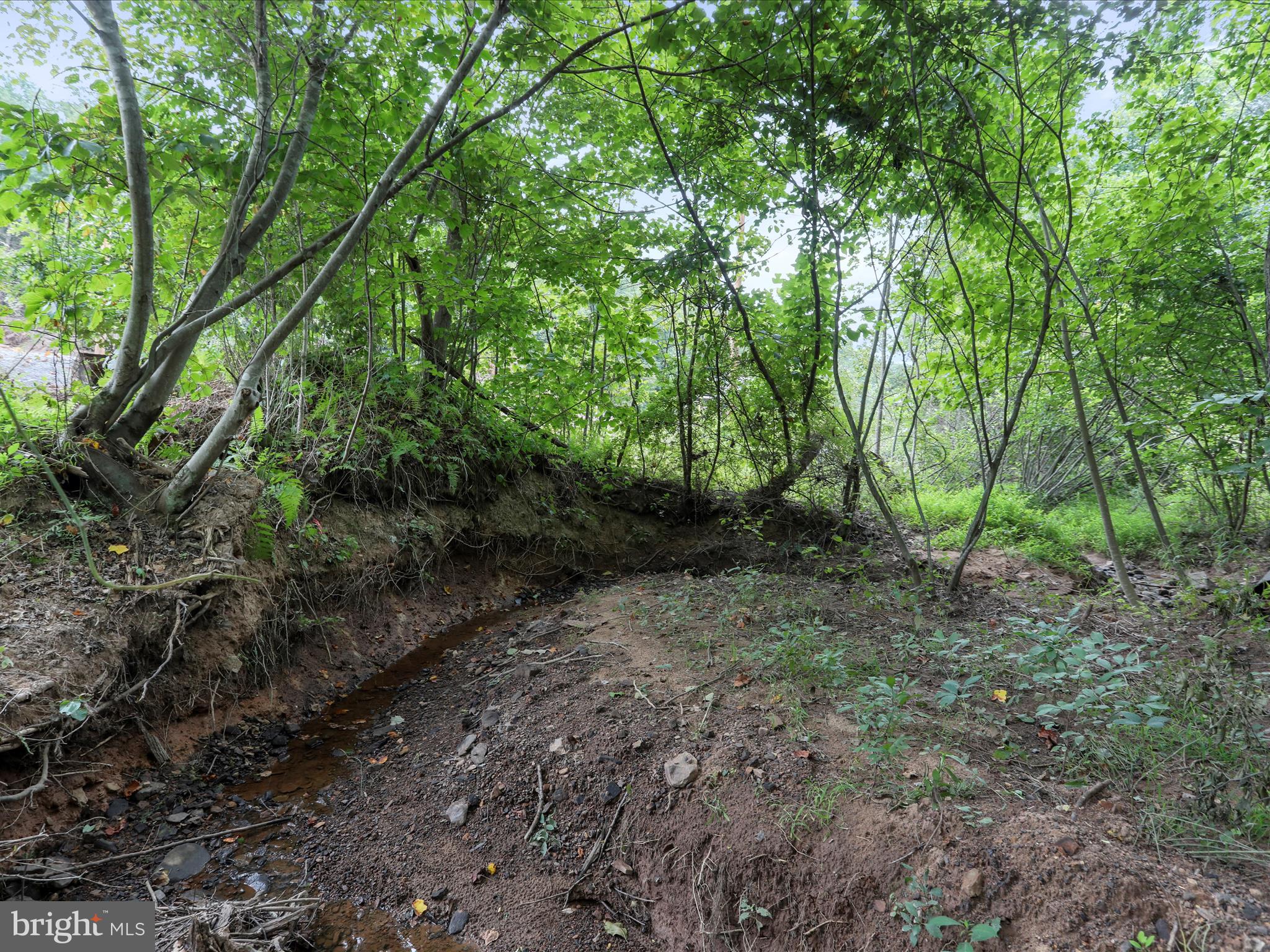 NINE EAST ESTATES - Residential