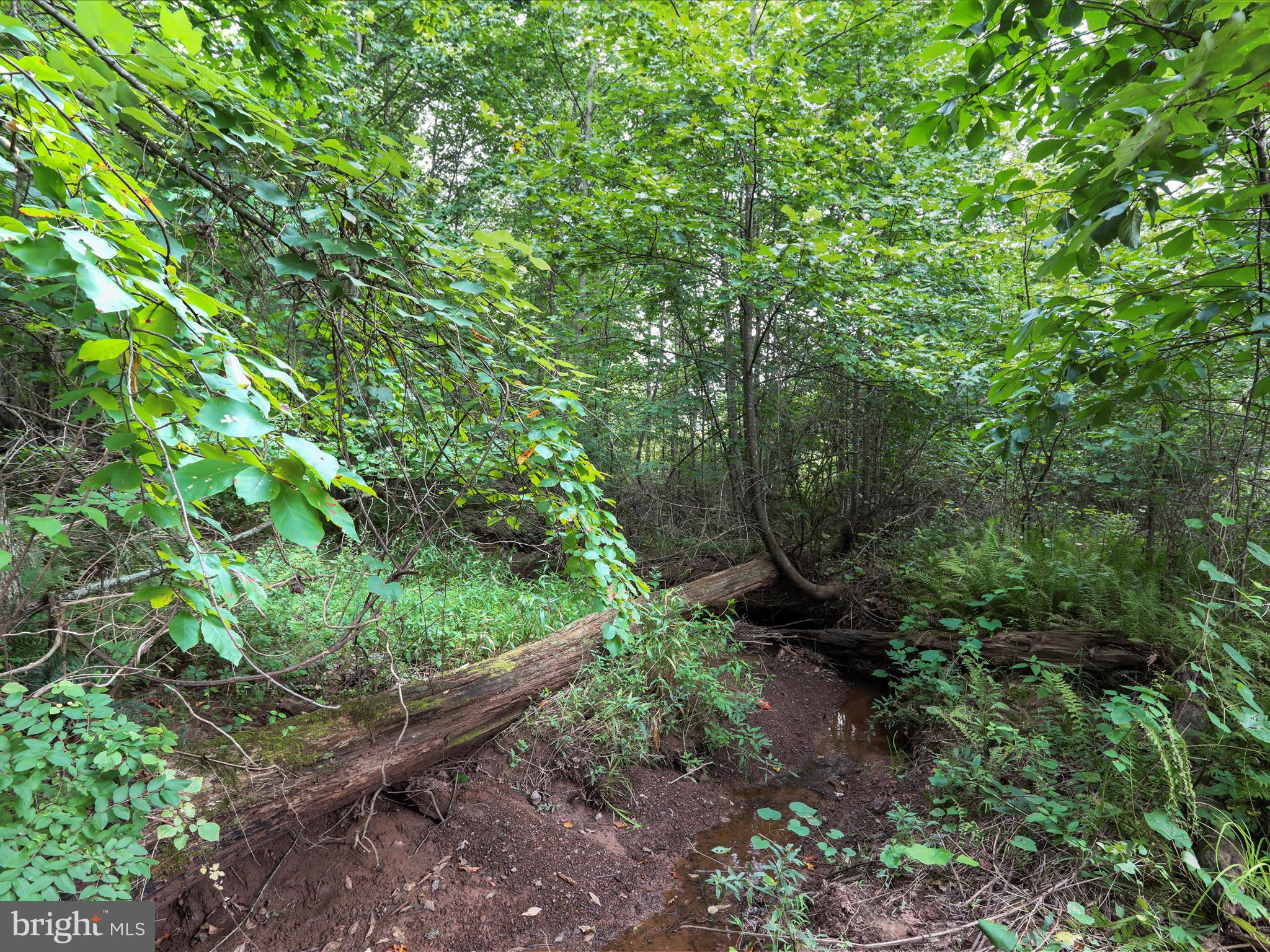 NINE EAST ESTATES - Residential