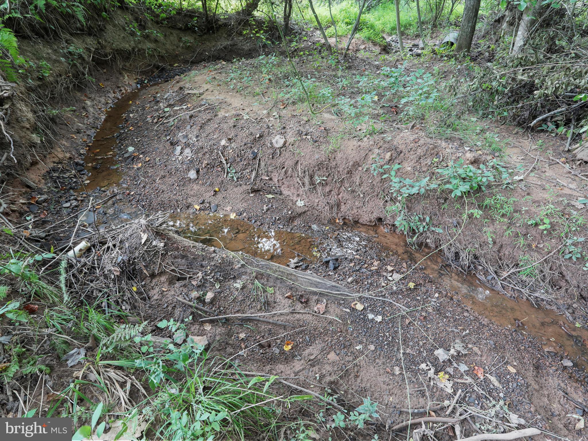 NINE EAST ESTATES - Residential