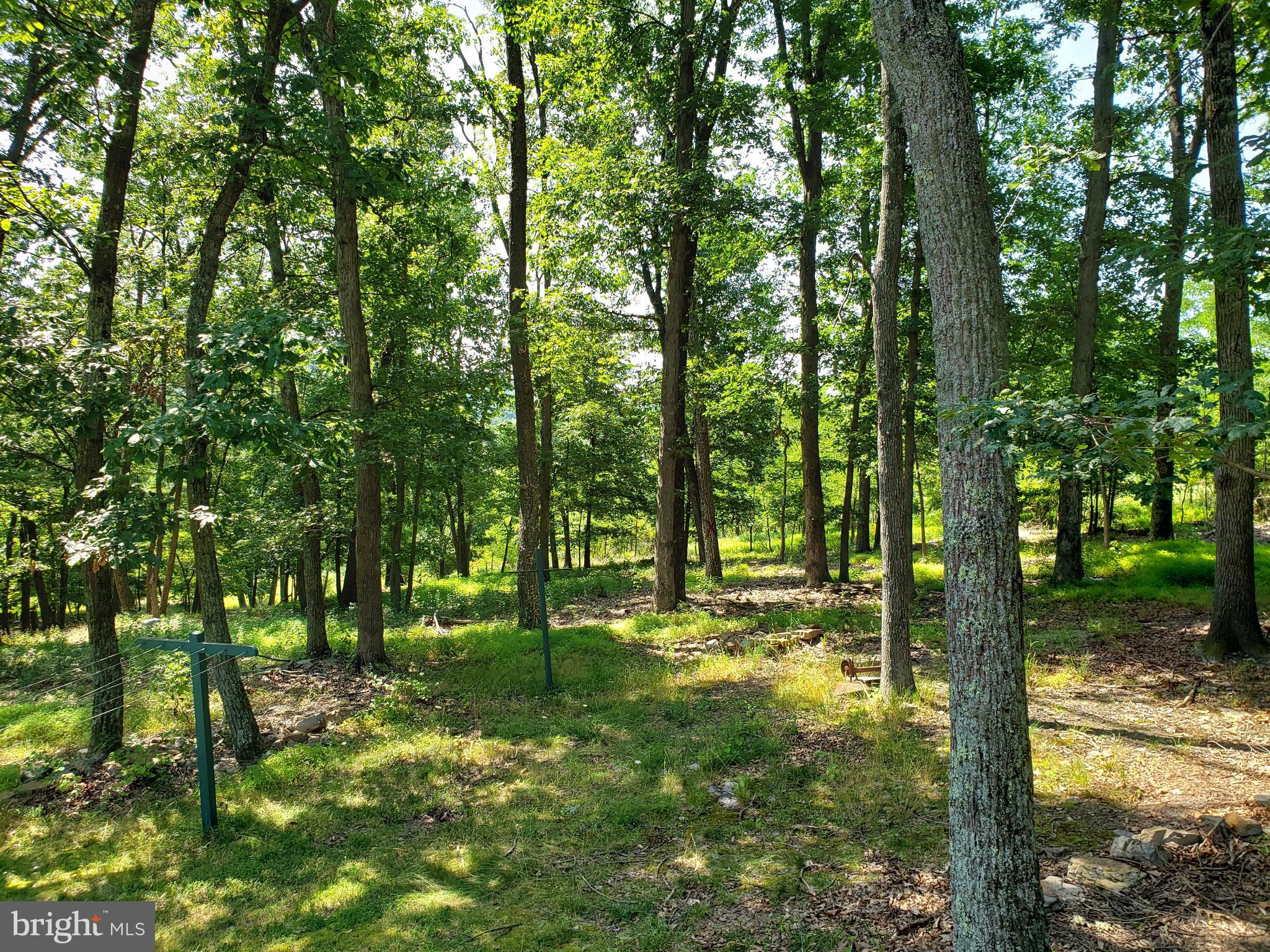 STAGECOACH STOP @ CAPON BRIDGE - Residential