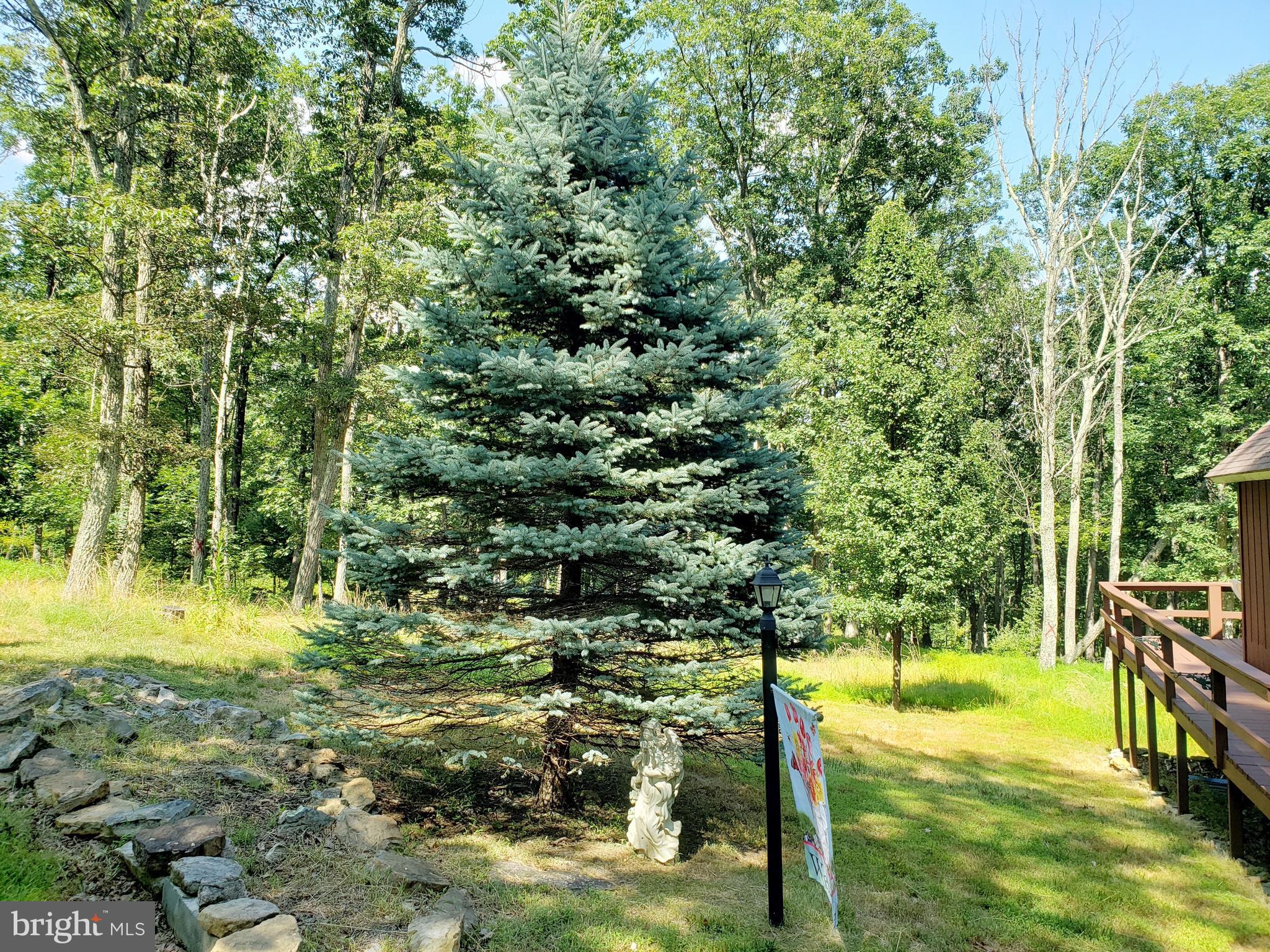STAGECOACH STOP @ CAPON BRIDGE - Residential