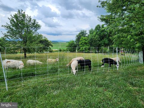 Tiny photo for 1512 Marlboro Road, STEPHENS CITY, VA 22655 (MLS # VAFV2041860)