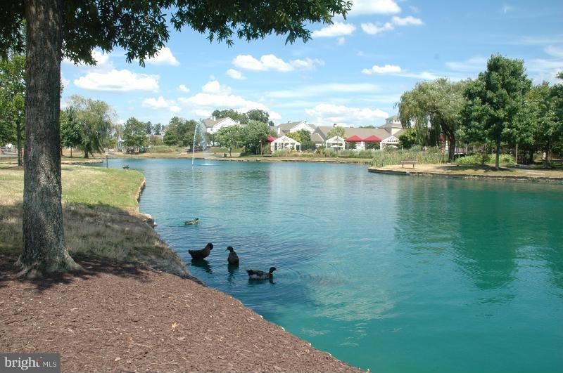 PINEY ORCHARD - Residential