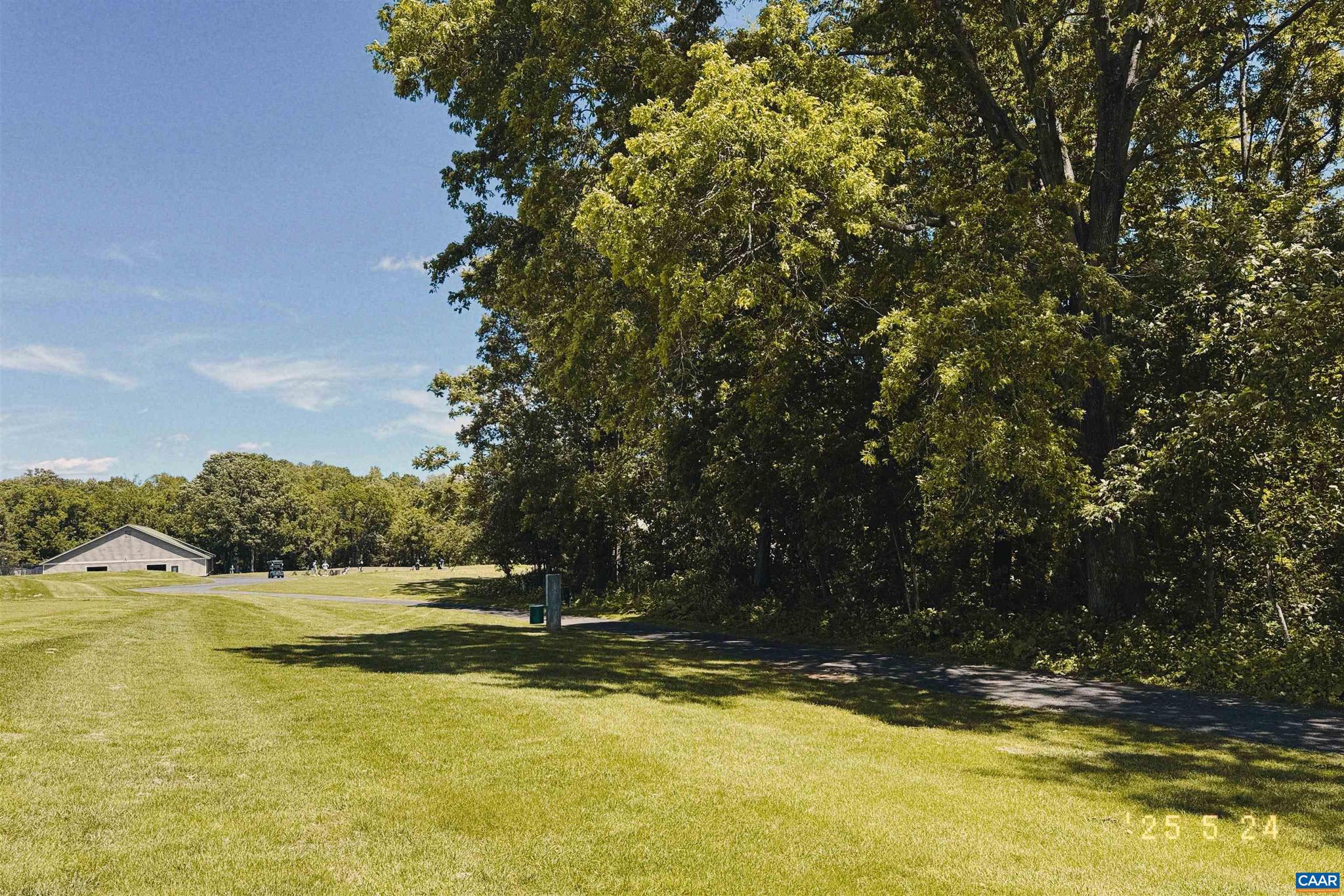 99 BLUE CHICKORY CT B10