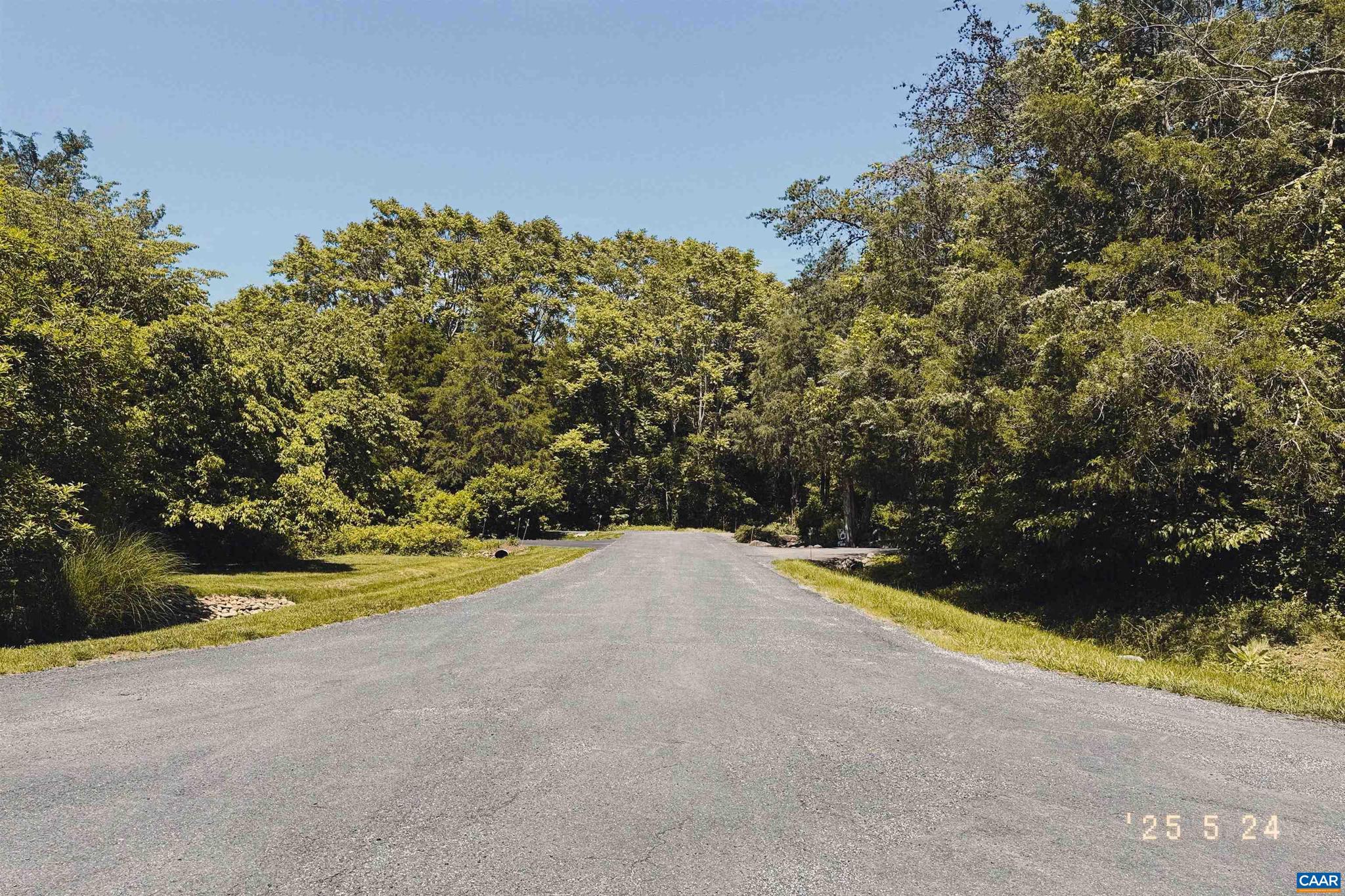 99 BLUE CHICKORY CT B10