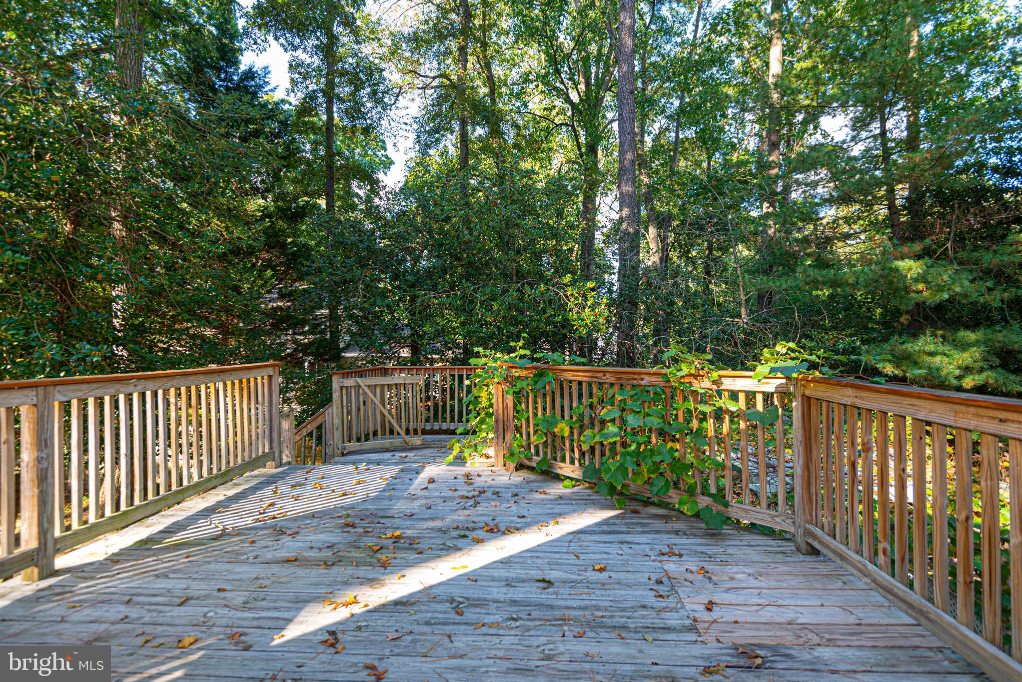 AVALON PARK - Residential