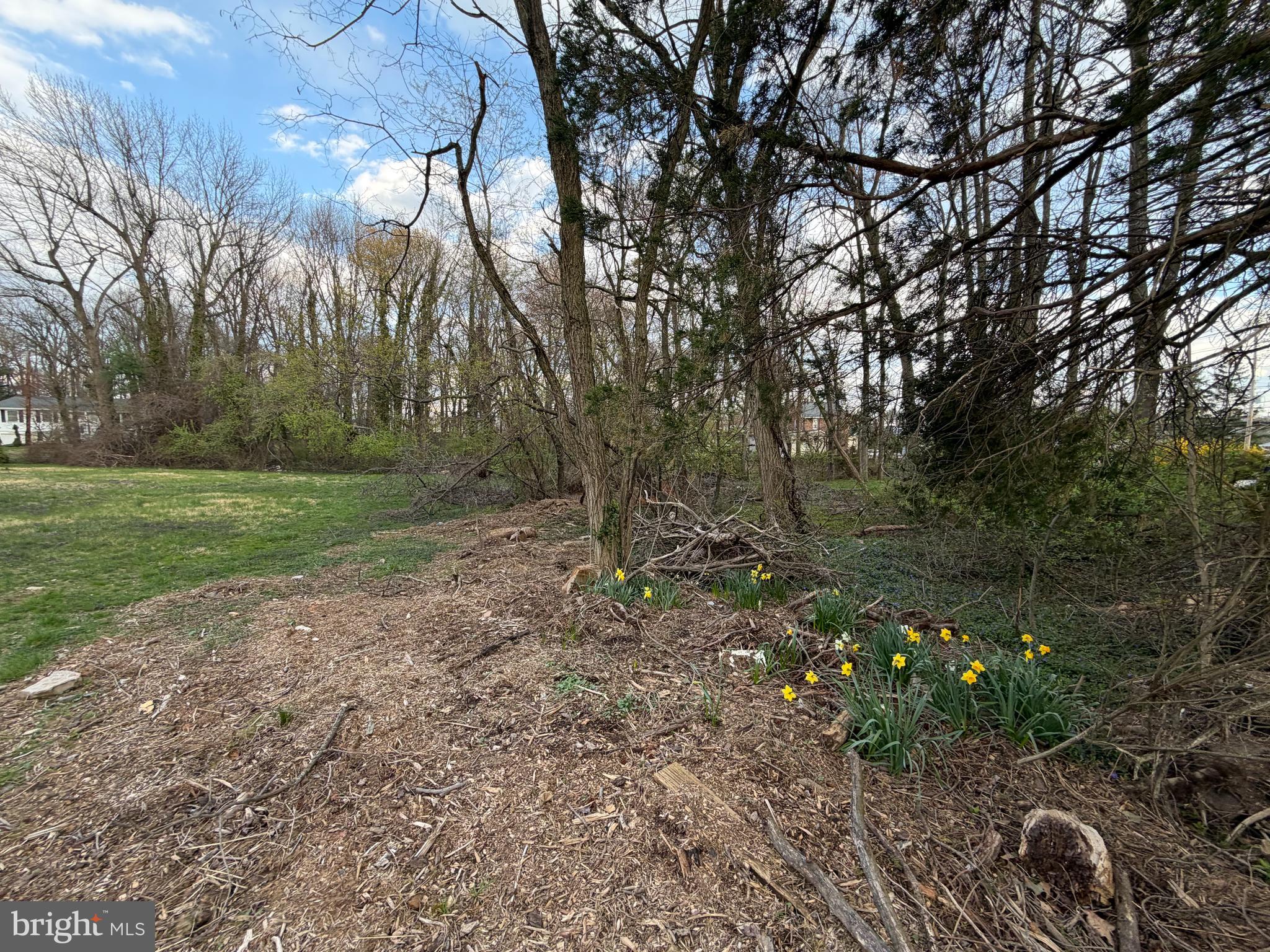 Block 2008 - Lot 12.02 COOLIDGE AVENUE