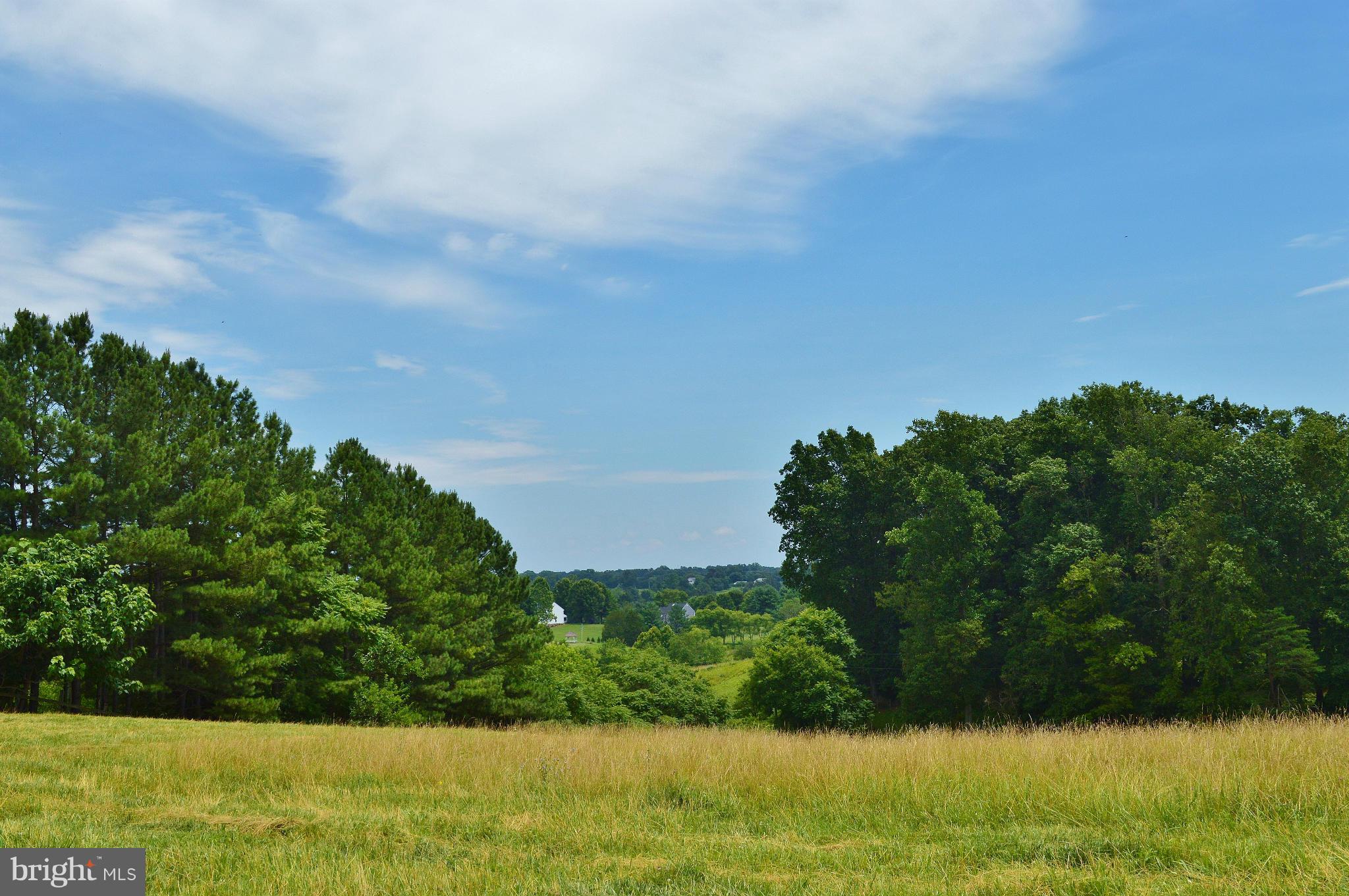 CHESTERFIELD ESTATES - Land