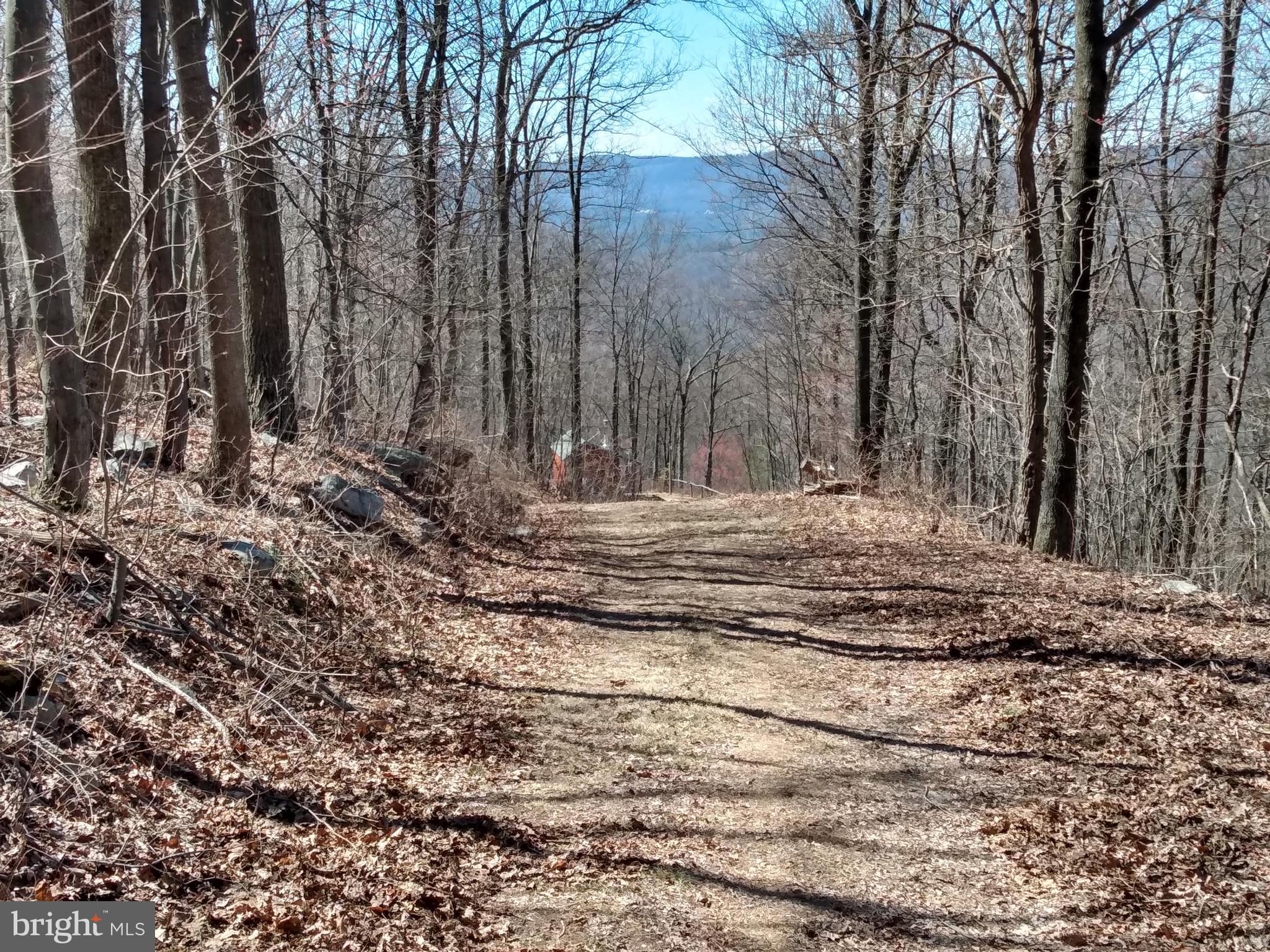 CACAPON MOUNTAIN RECREATIONAL AREA - Land