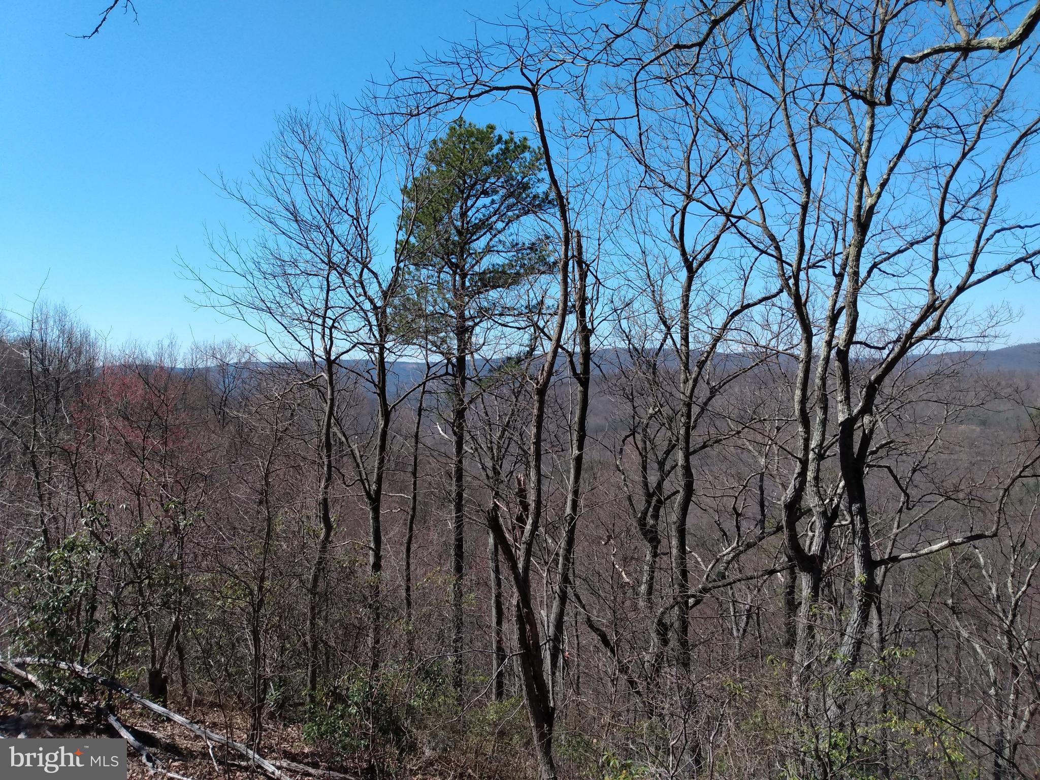 CACAPON MOUNTAIN RECREATIONAL AREA - Land