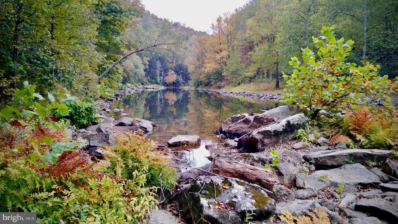 CACAPON MOUNTAIN RECREATIONAL AREA - Land