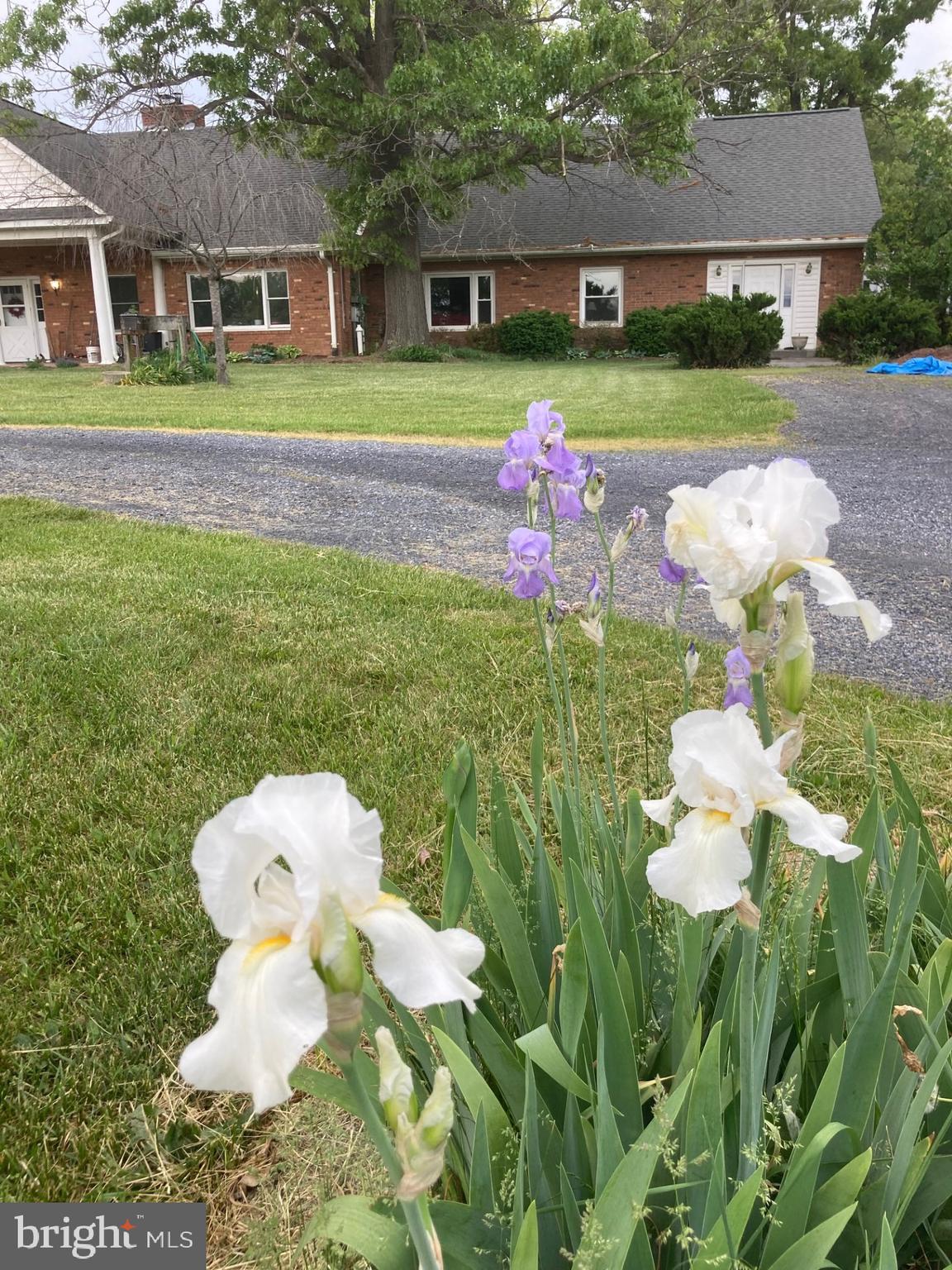 165 WILSON BURKE ROAD