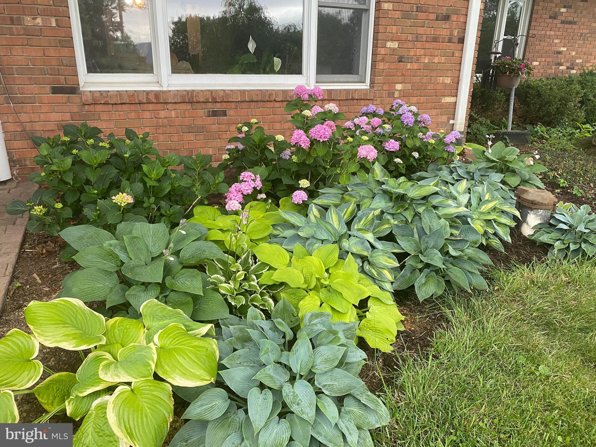 165 WILSON BURKE ROAD