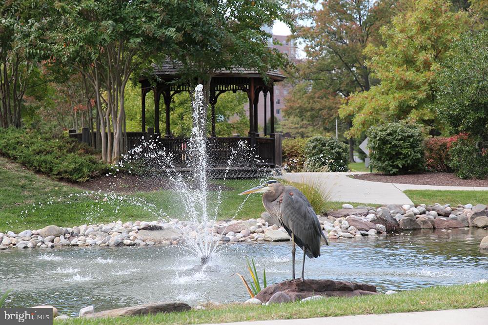 GREENS AT LEISURE WORLD - Residential