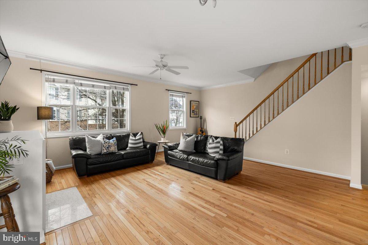 THE MEWS AT MENLOUGH - Residential