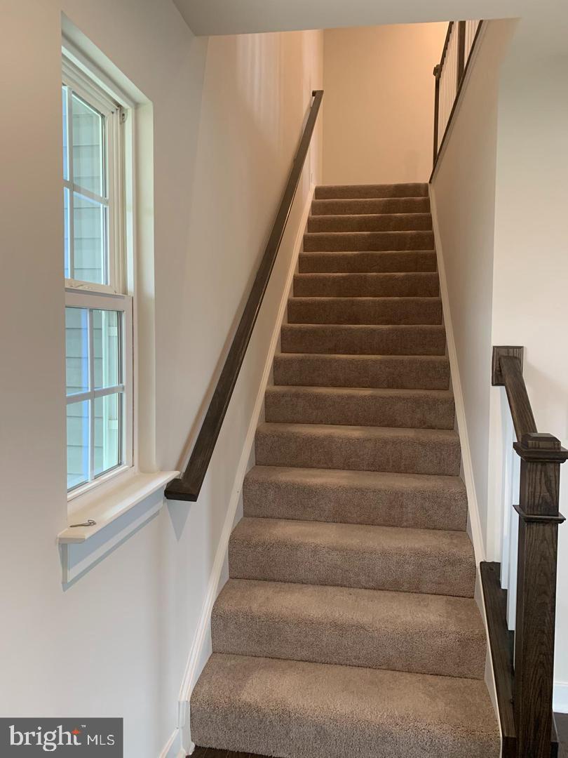 POTOMAC STATION - Residential Lease