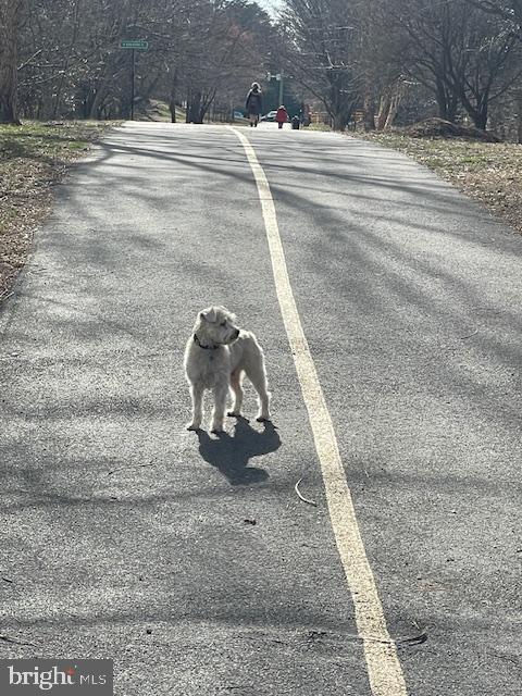 AVON PARK - Residential Lease