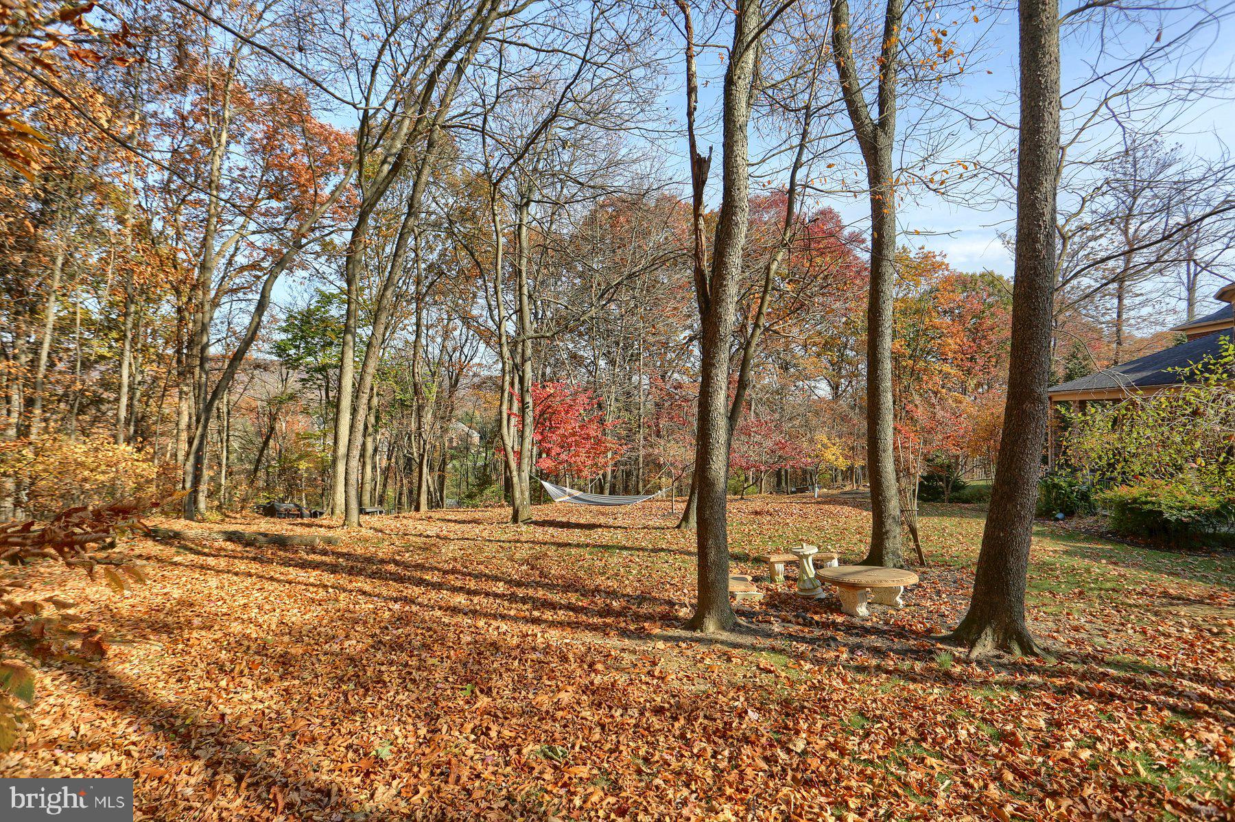 PINEHURST HILLS - Residential