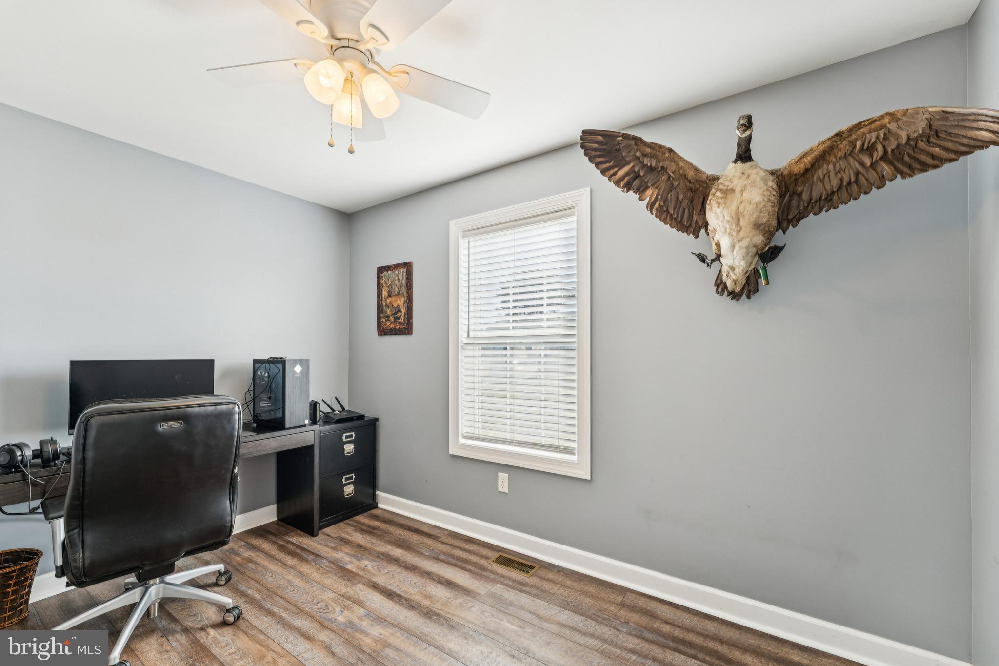 STEVENSVILLE - Residential