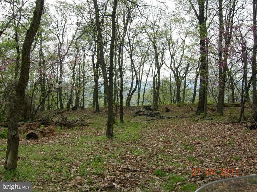 Beautiful mountain lot. Great place for a week-end getaway spot or year round residence. Lot sits on the flat east side of Ritter Drive and offers incredible views of Bear Garden Mountain and Cacapon Valley on upper west side of Mayflower Drive. Huge rock formation on south east corner of lot makes a great lookout. Beautiful mature hardwoods, privacy,  peace and quiet!! No HOA, just road and park maintenance $460/yr ($38/month).  Enjoy the beach, swimming lake and stocked fishing pond. Picnic at the pavilion, enjoy the playground or tennis courts. Community offers miles of roads to ride your ATV's or take long walks and enjoy the abundant wild life.    Easy commute to the Winchester area, just minutes from restaurants, stores and more.  Lot D is 2.44 acres, Road & Park Maintenance is $460/yr ($38/monthly). It's like being on vacation only a lot less expensive. Must see to appreciate. Lot fronts both Ritter & Mayflower Drives.