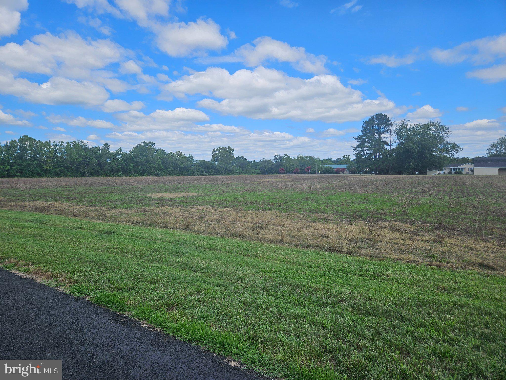 1120 BLADES FARM ROAD