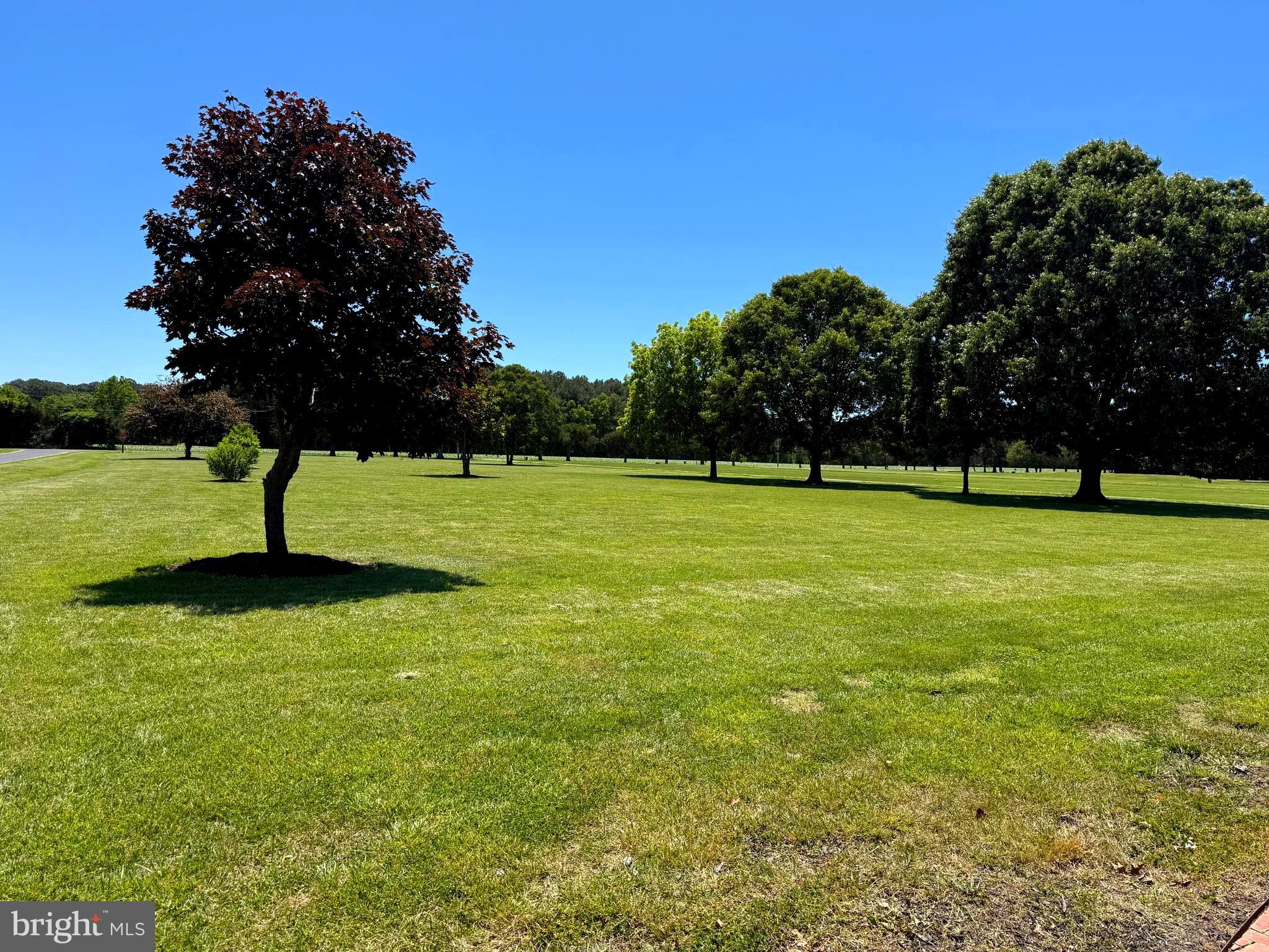17041 CIRCLE LANE
