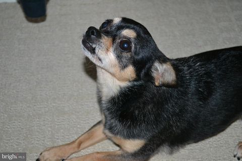 Photo of 700 Res Demo Example Drive, OTHER, NA (MLS # OTOT2006728)