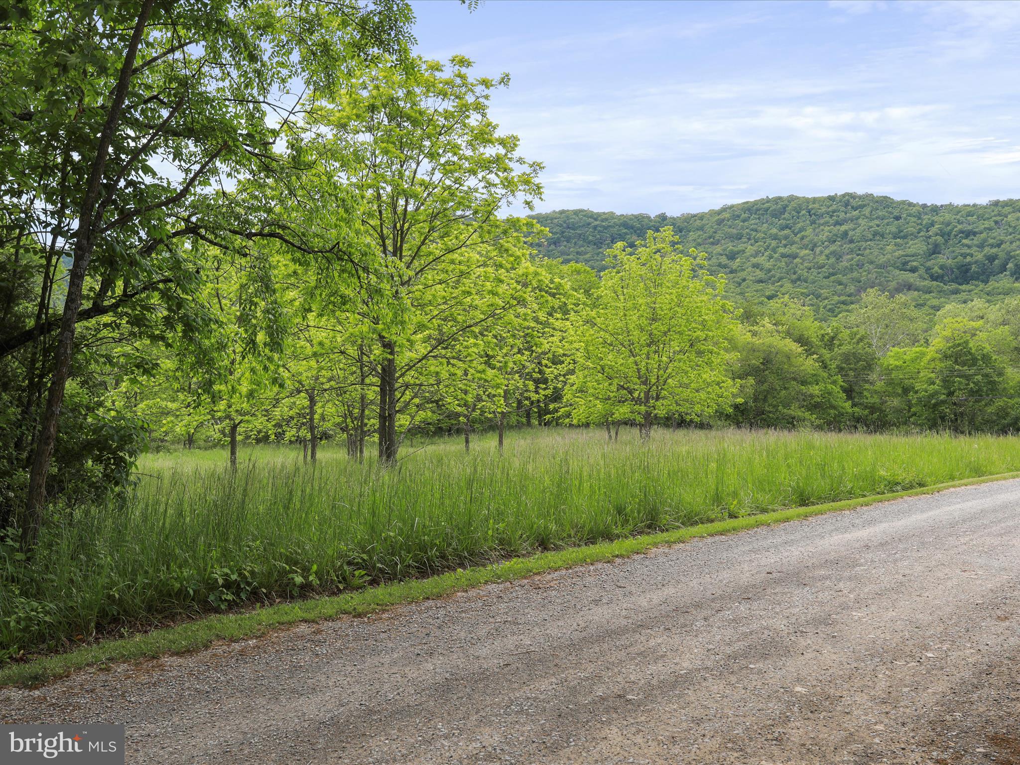 NONE UNRESTRICTED - Land