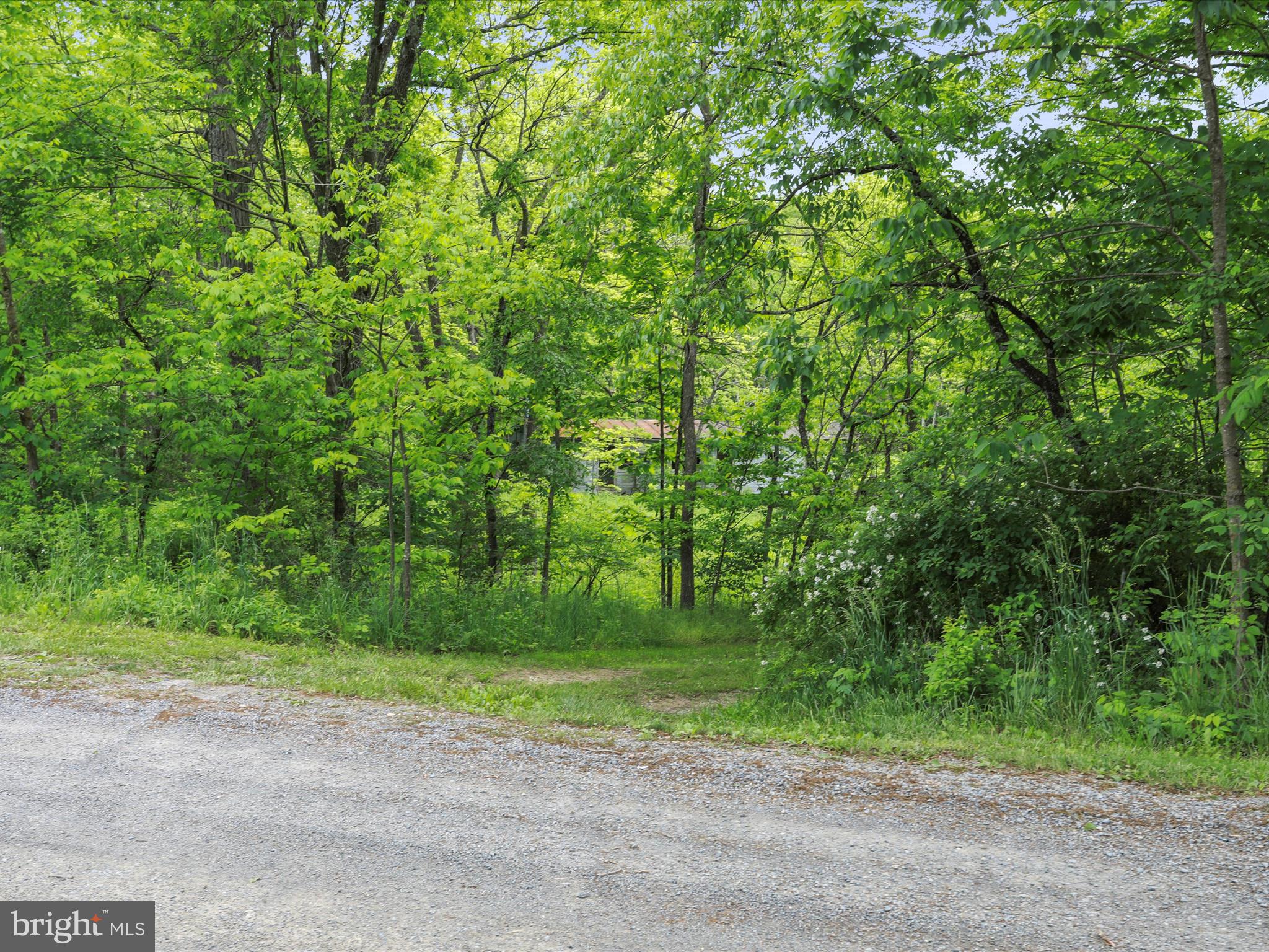 NONE UNRESTRICTED - Land