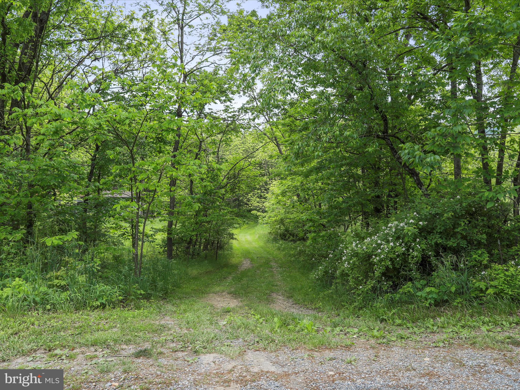 NONE UNRESTRICTED - Land