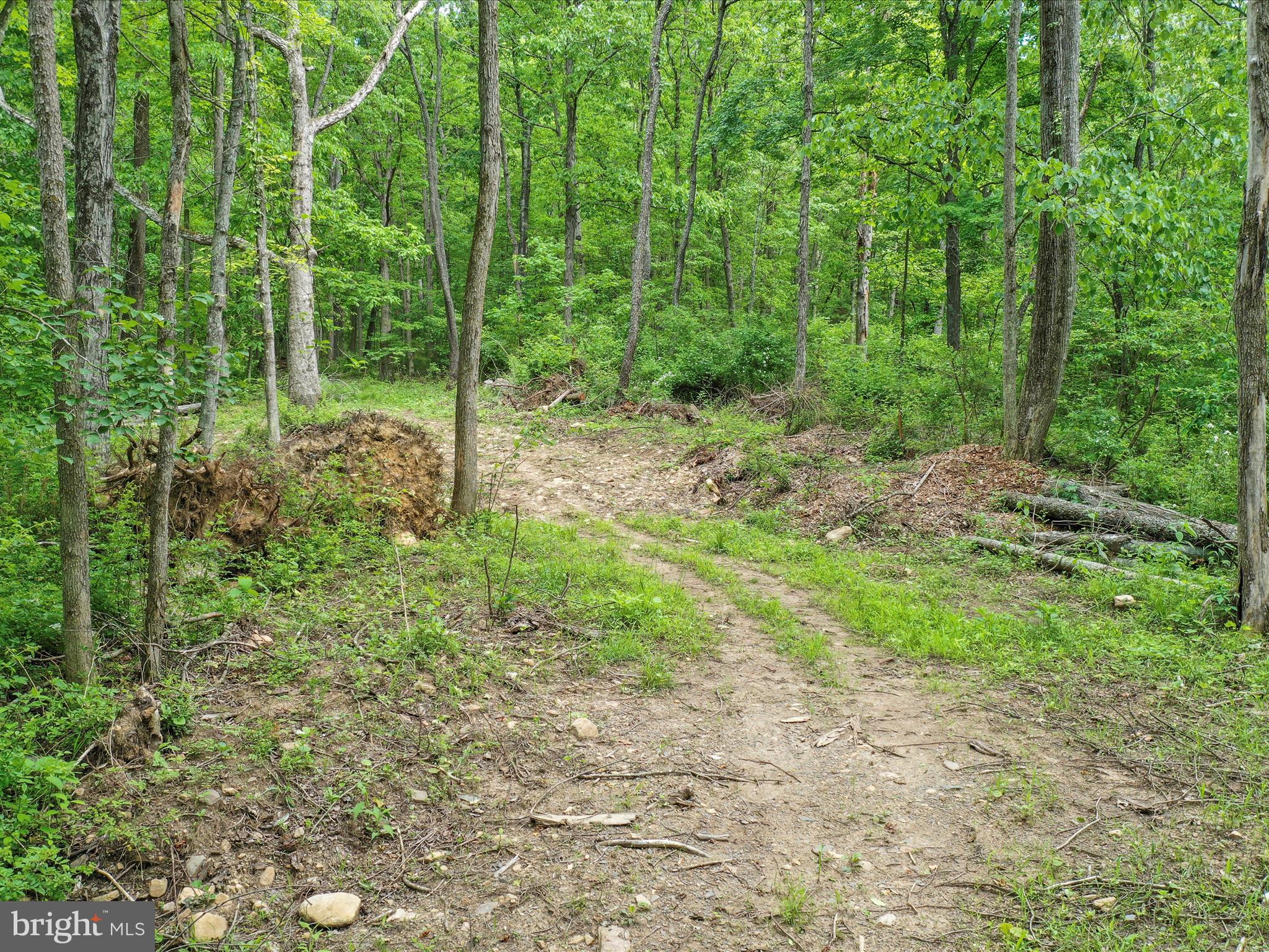 NONE UNRESTRICTED - Land