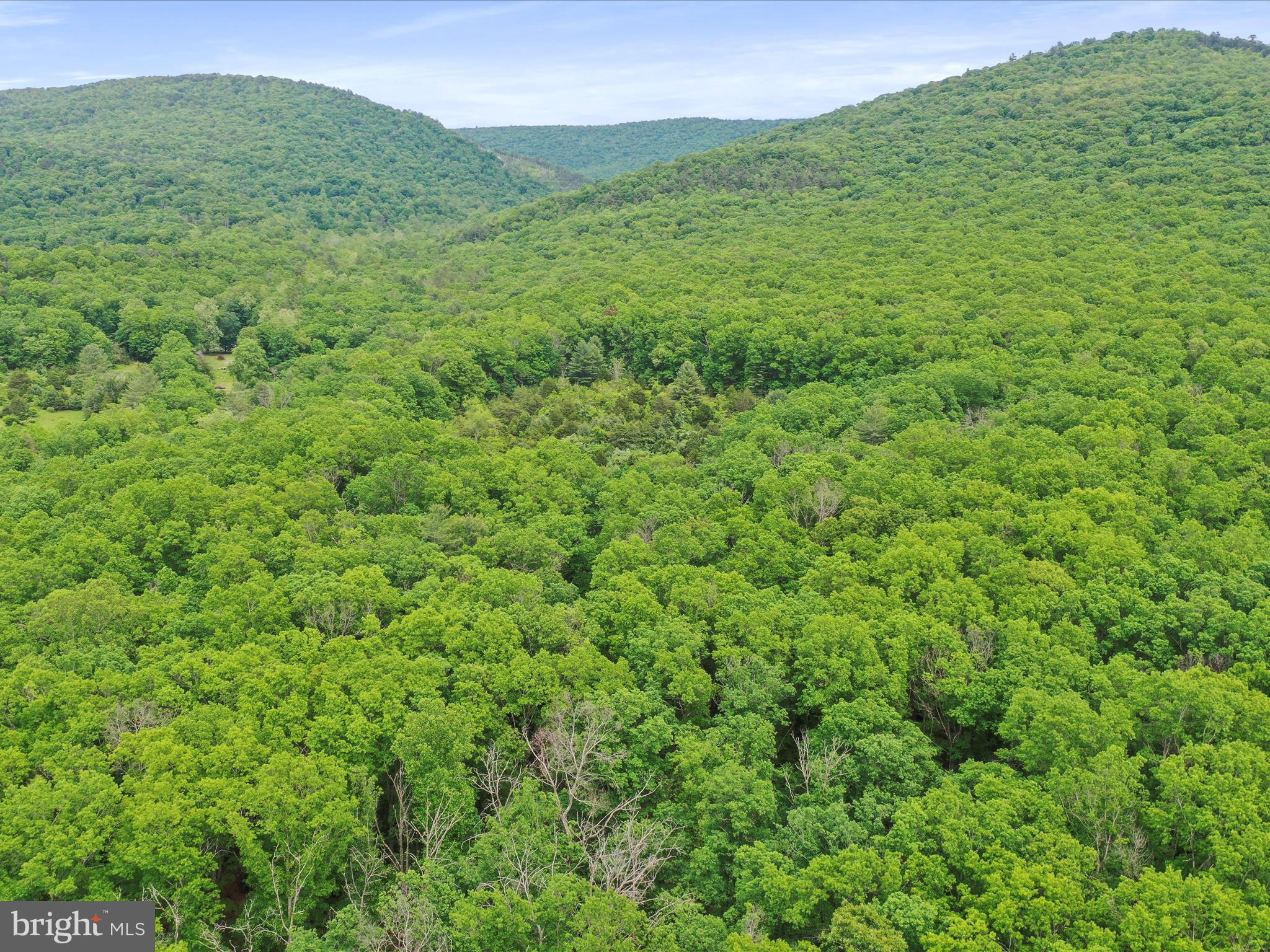 NONE UNRESTRICTED - Land