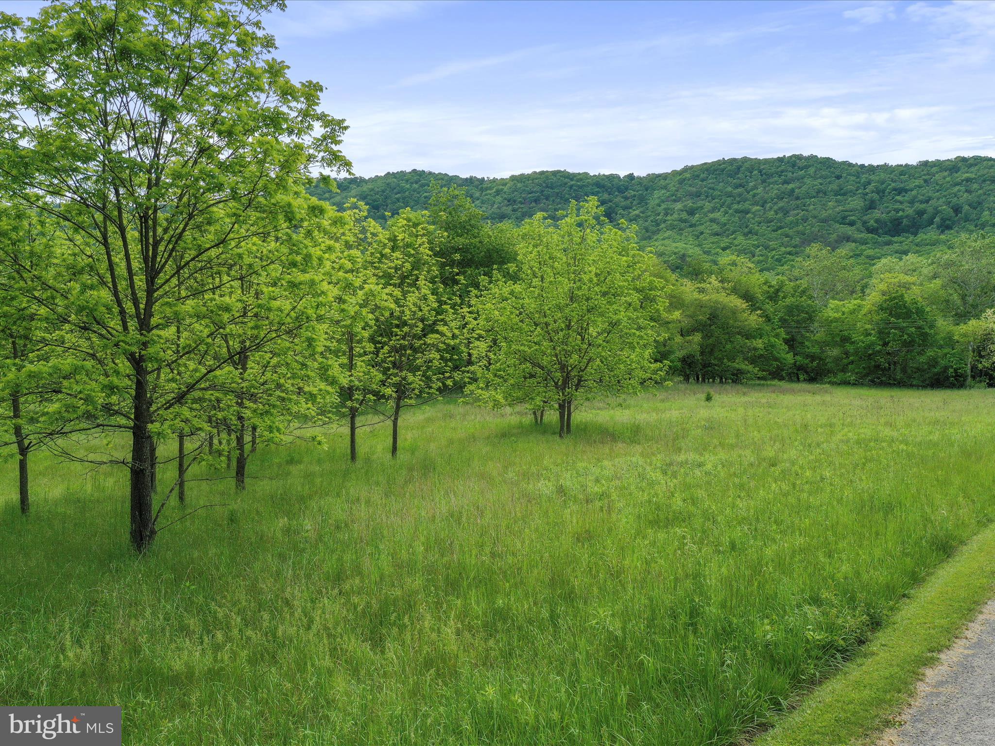 NONE UNRESTRICTED - Land