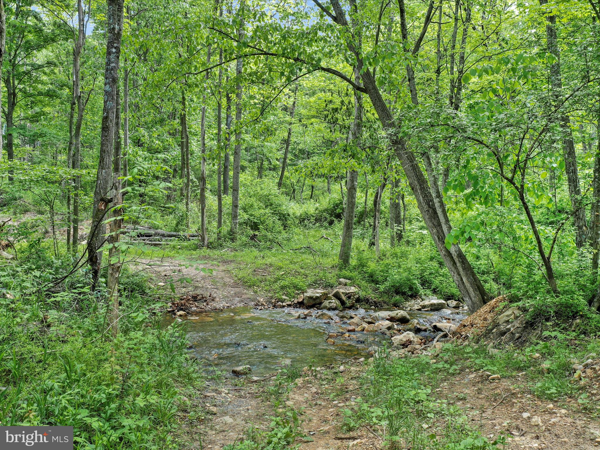 NONE UNRESTRICTED - Land