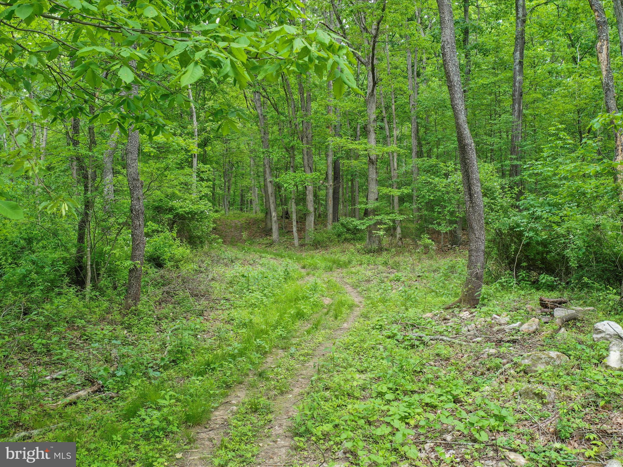 NONE UNRESTRICTED - Land