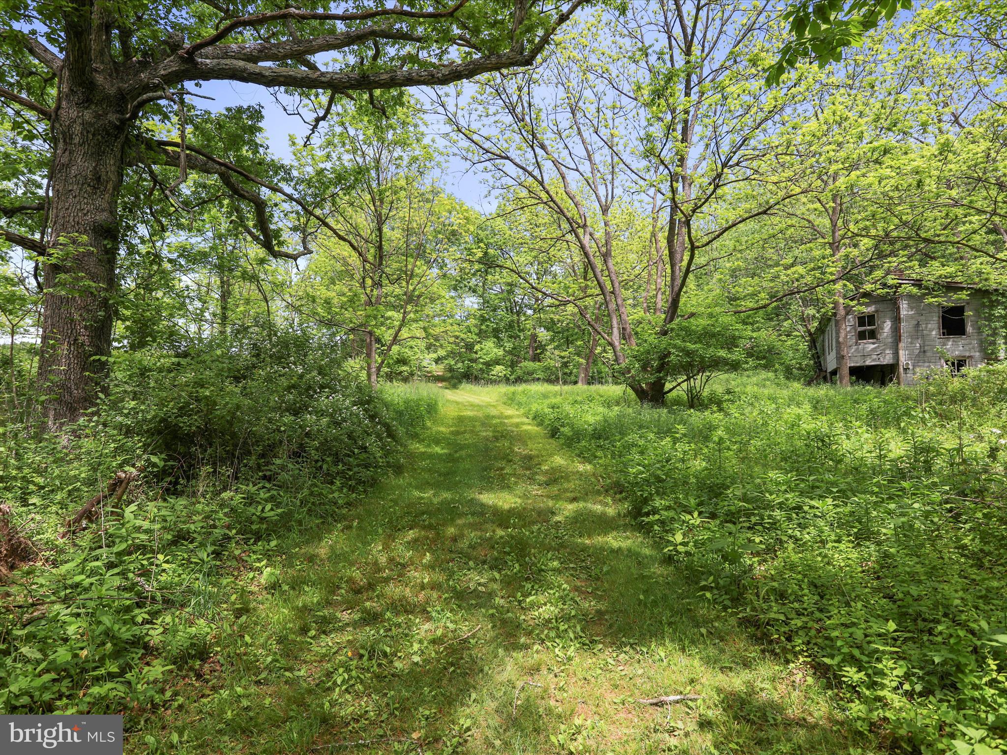 NONE UNRESTRICTED - Land