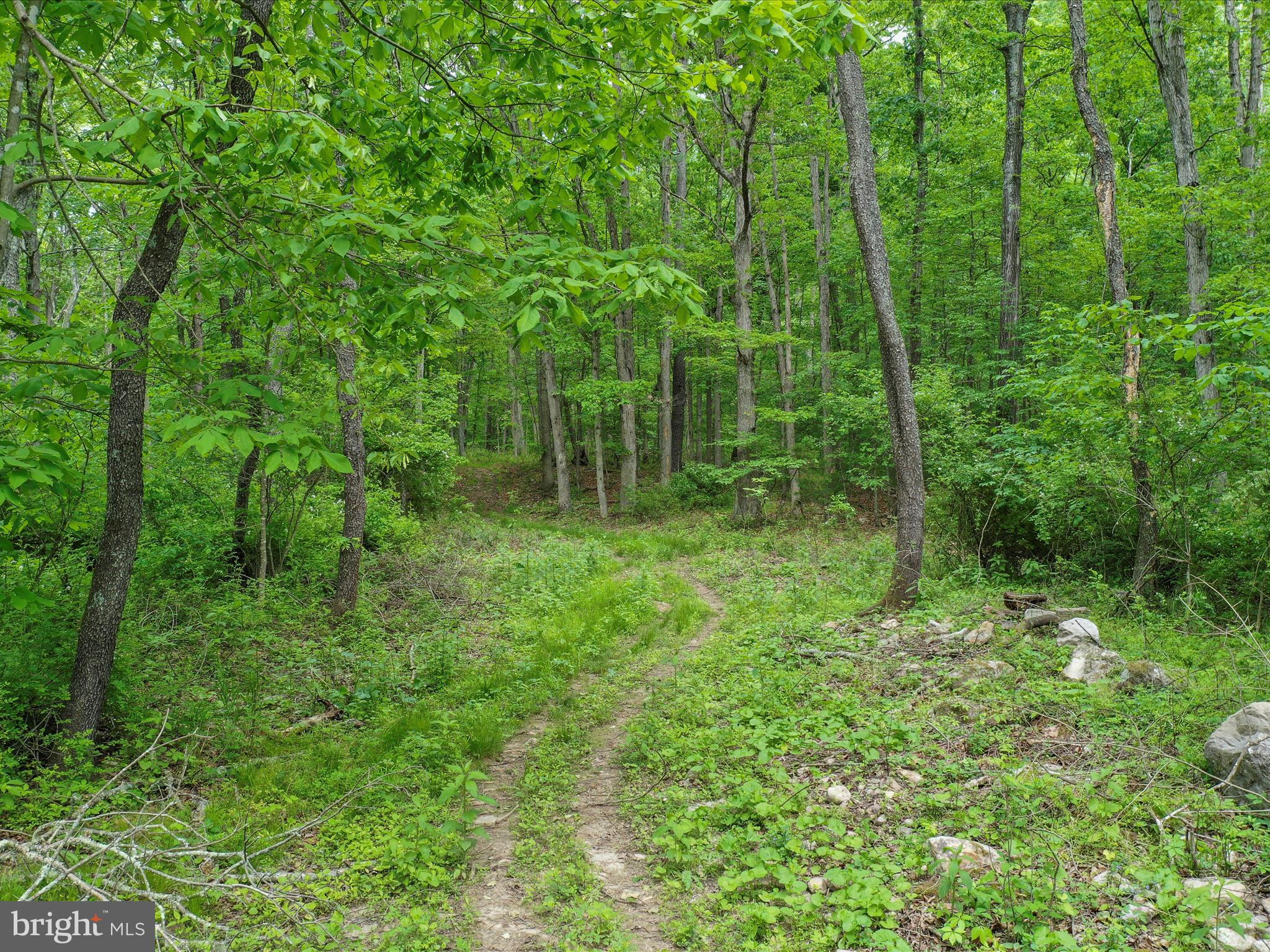 NONE UNRESTRICTED - Land