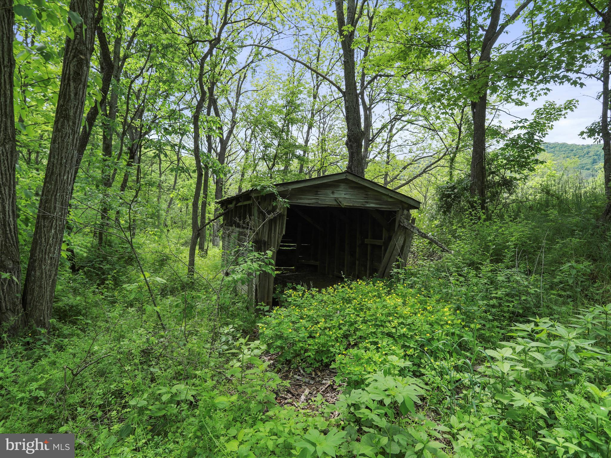 NONE UNRESTRICTED - Land