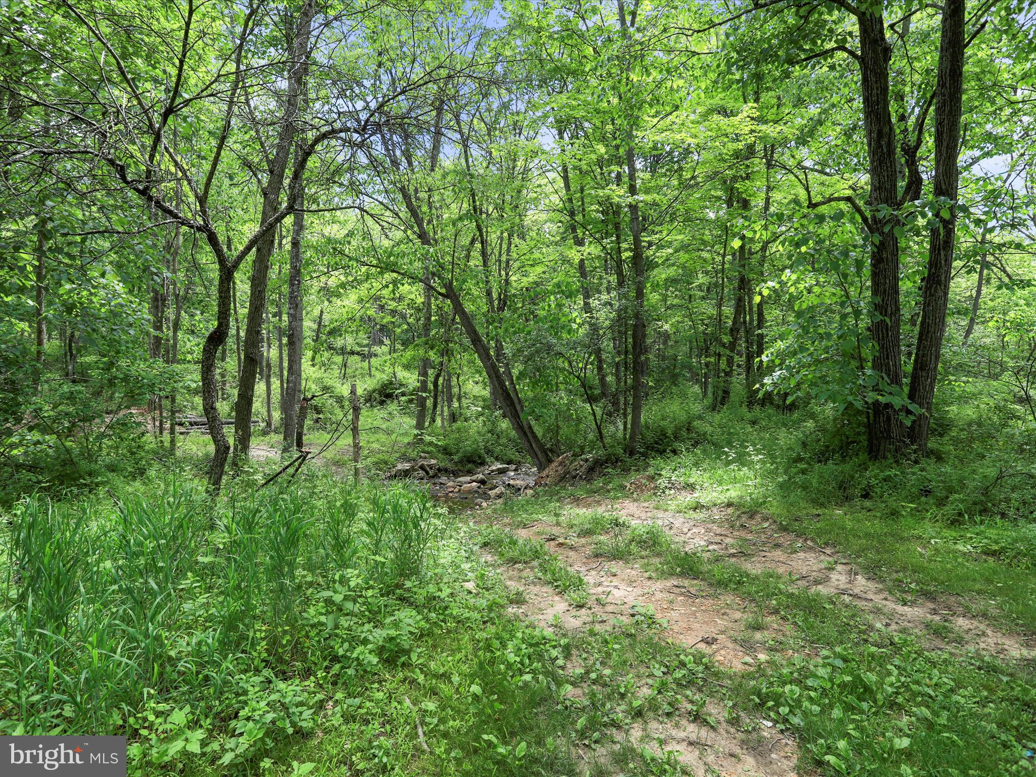 NONE UNRESTRICTED - Land