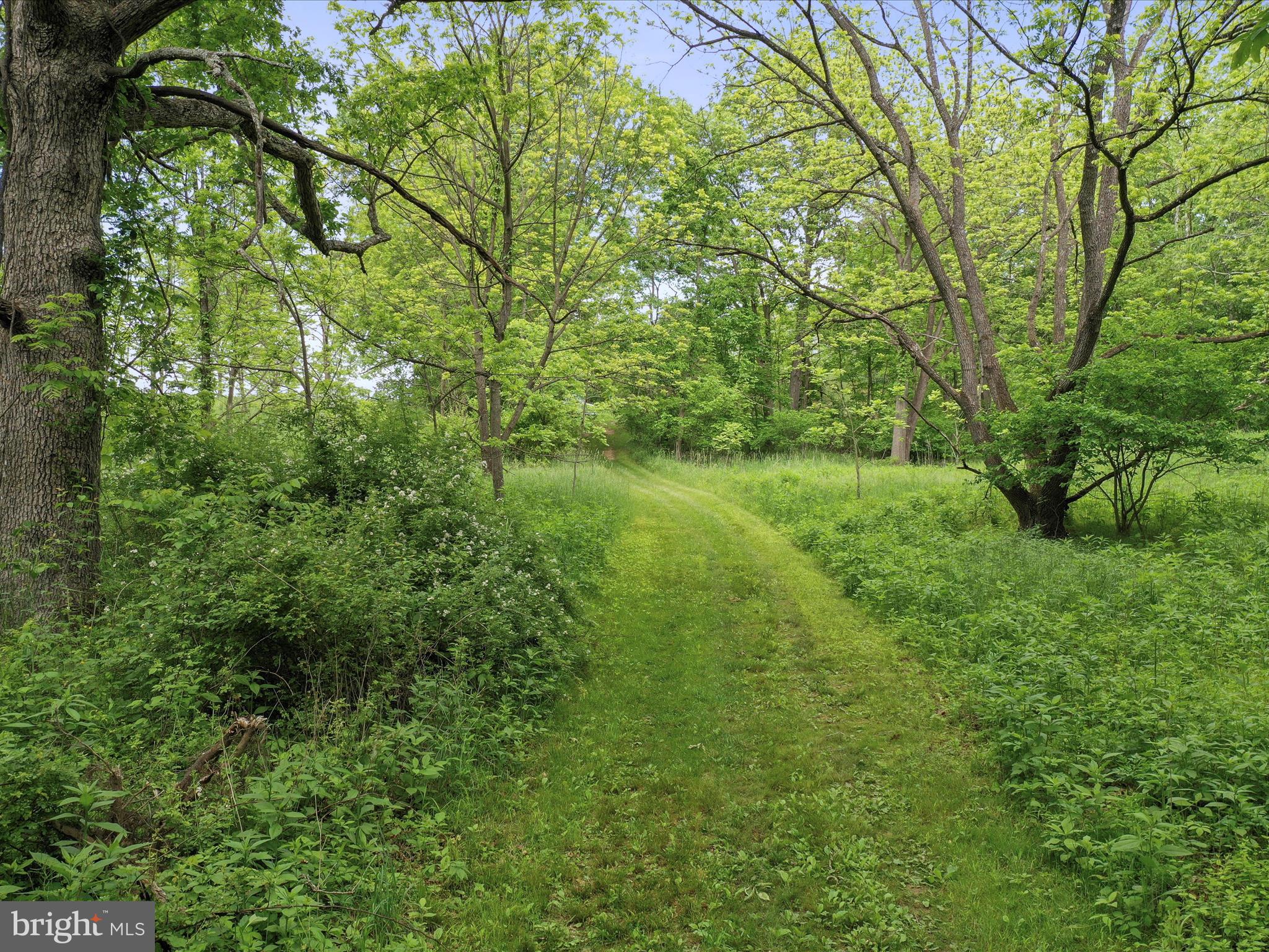 NONE UNRESTRICTED - Land