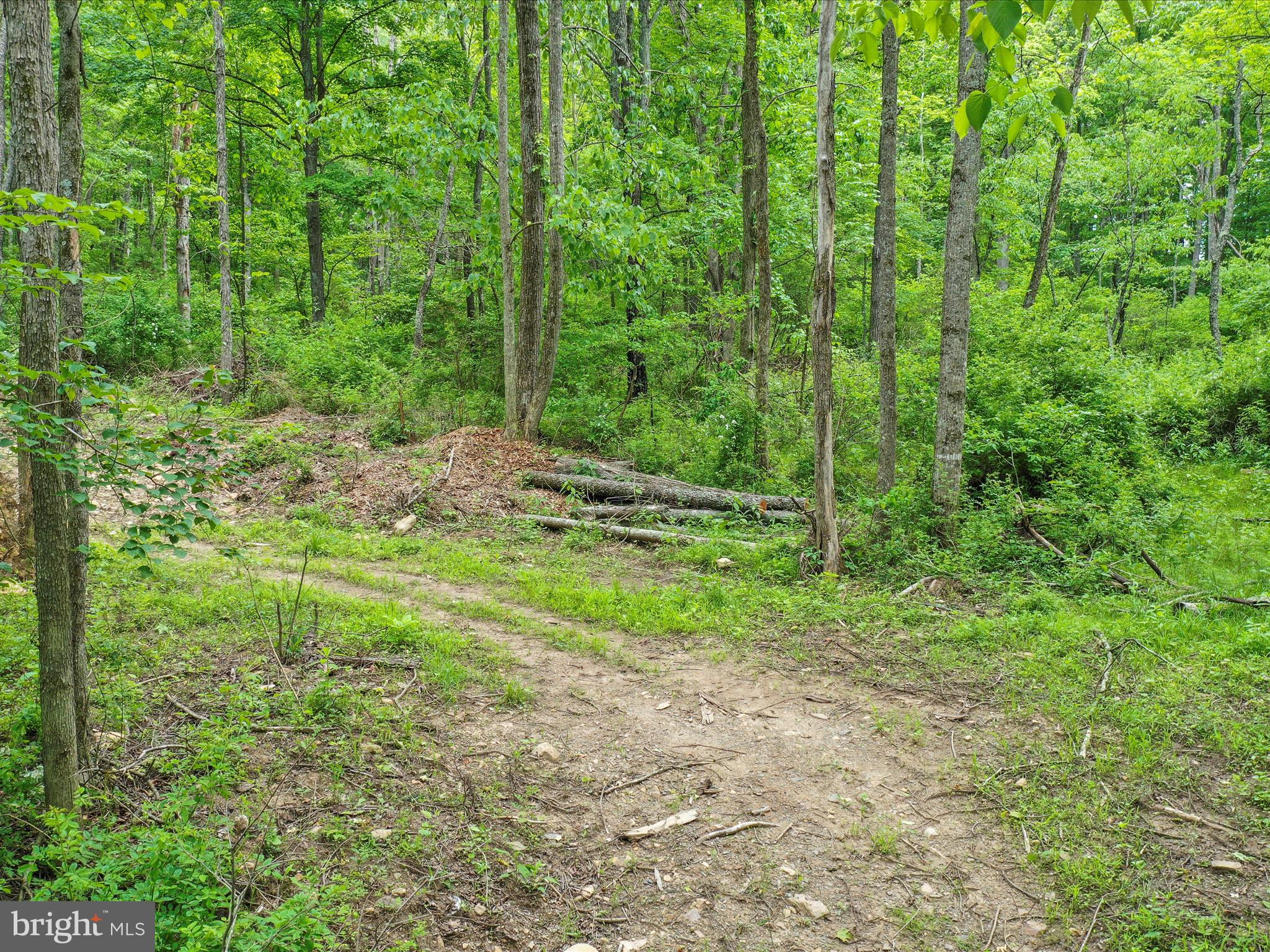 NONE UNRESTRICTED - Land