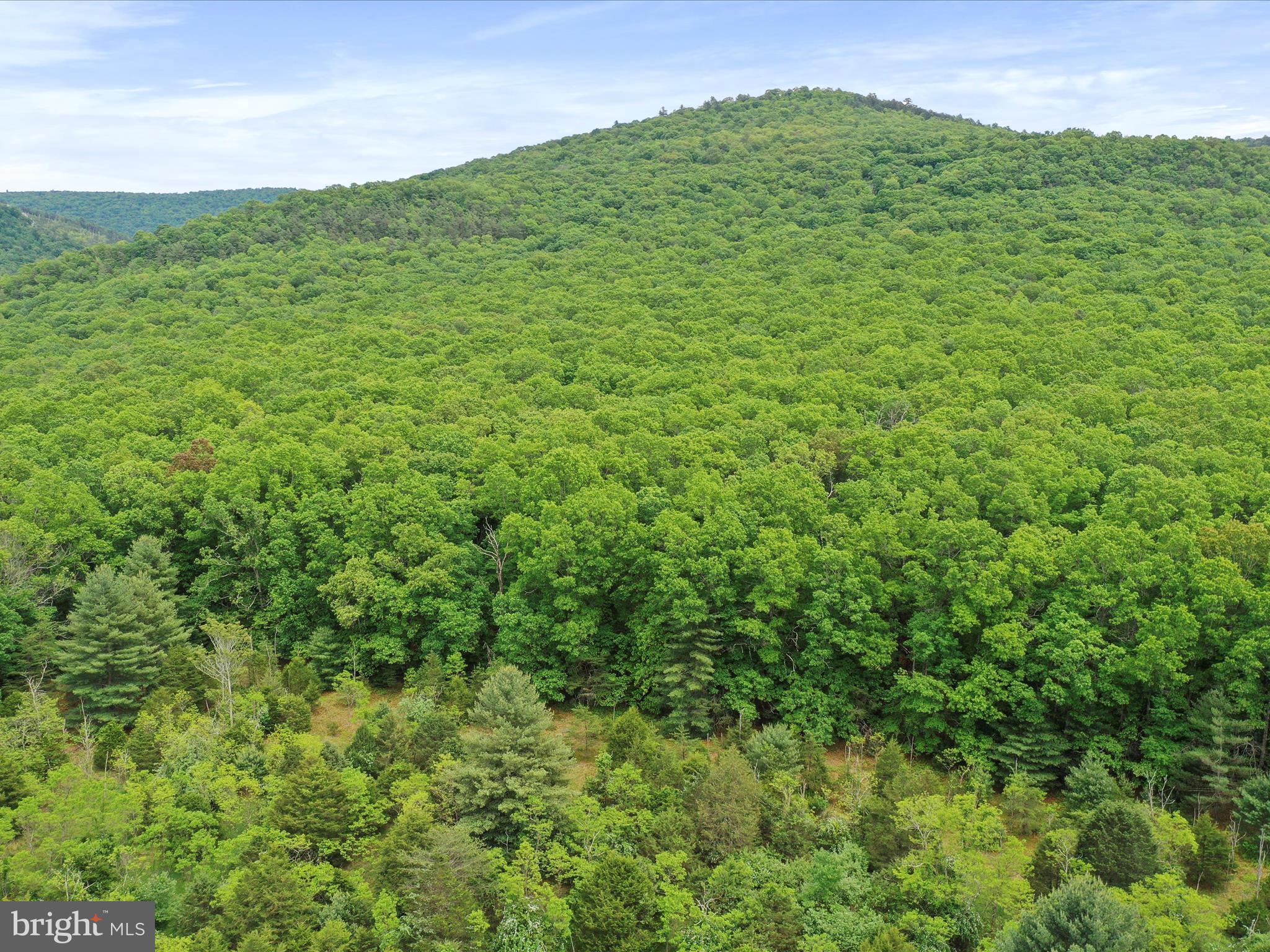 NONE UNRESTRICTED - Land