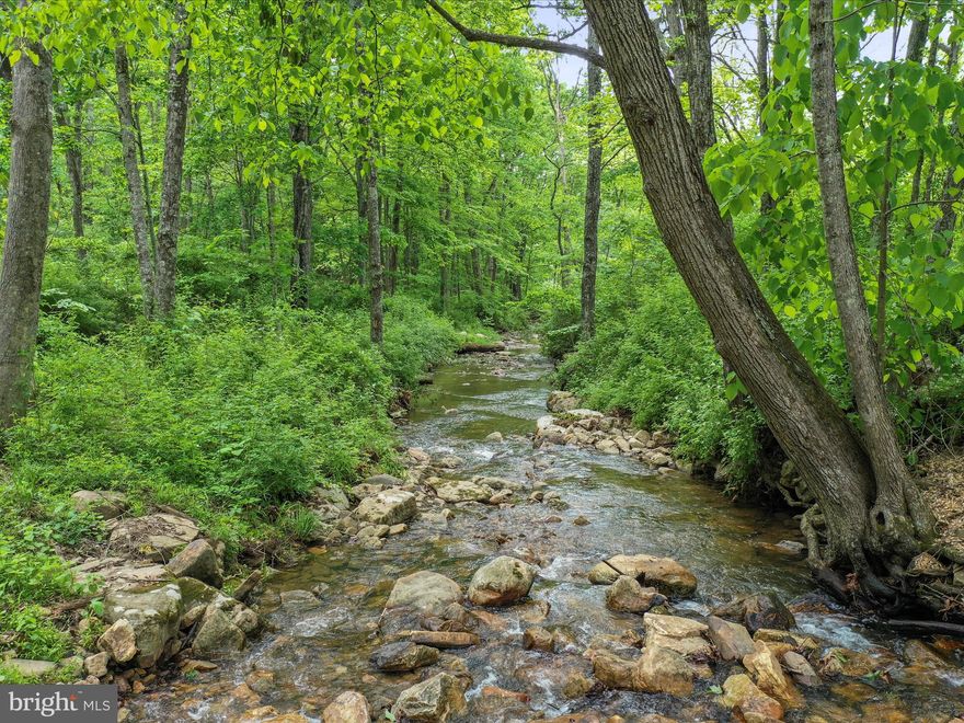 Rare opportunity to own 79.02 acres with a year-round stream that borders The George Washington National Forest—pristine, unrestricted and packed with potential! This stunning tract features wonderful waterfalls through Capon Run stream, mature marketable hardwoods, and a perfect location to build your dream home!  Already passed perc test for septic for 4 bedroom home! Concept home drawings already done and ready for builder. No HOA or zoning restrictions. 

The adjoining George Washington National Forest contains nearly 1.8 million acres; one of the largest blocks of public land in the eastern United States giving you endless opportunities for hiking, biking, riding, hunting, camping and more!   

Gently rolling terrain with a mix of cleared and wooded areas, existing trail system, and easily accessible with dual frontage on two public roads. Electric and fiber optic internet available at the road. Located just 20 miles from I-81, 2.5 hours from Washington, D.C., and only 15 mins from the gorgeous Lost River State Park.

Imagine all the possibilities; private family retreat, rustic luxury cabins, Airbnb rentals, homestead hobby farm, hunting lodge / outdoor adventure basecamp, or off-grid eco-friendly living community. 
Don't miss this opportunity to own a slice of Appalachian heaven!

Located at the corner of Route 259 & Hunkerson Gap Rd, Mathias, WV, on Google maps plug in 111 Hunkerson Gap Road and the entrance is right across the street. Call for a showing today!