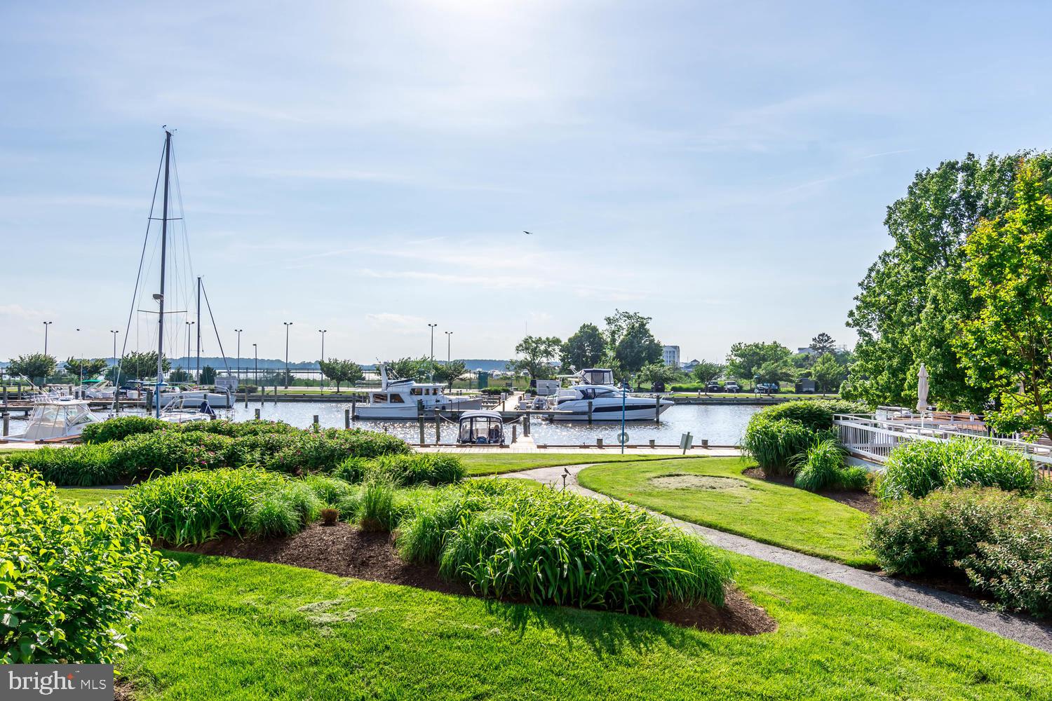 OYSTER COVE - Residential