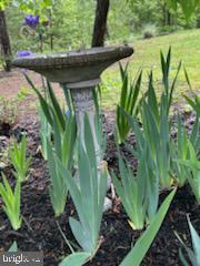 HICKORY RUN - Residential