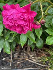 HICKORY RUN - Residential