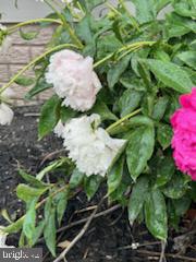 HICKORY RUN - Residential