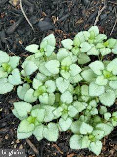 HICKORY RUN - Residential